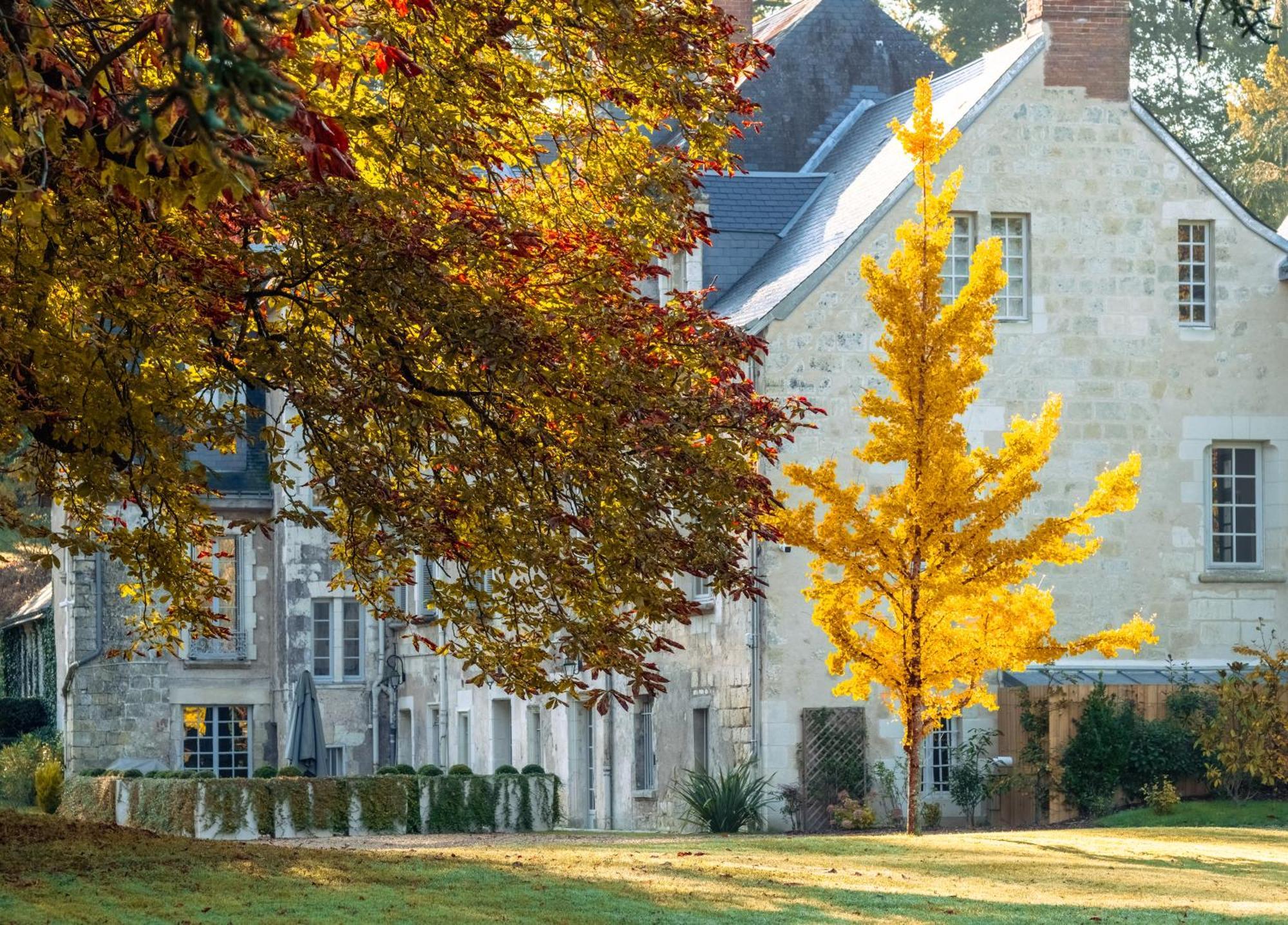 Domaine De La Commanderie De Ballan Buitenkant foto